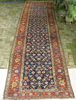 Bidjar Gallery Runner-- 4 ft 5 in x 15 ft 2 in. Wool foundation. Classic Bidjar design and colors; it fluctuates from single to double weft throughout... so call it what you  ...