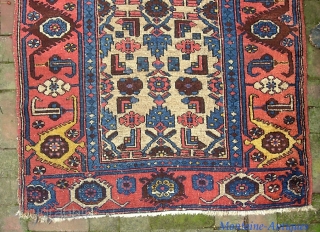 Kurdish-- 3 ft 4 x 6 ft 1 in.  Old well used rug with camel field and beautiful red turtle border.  Low and a little bit tatty around the edges--  ...