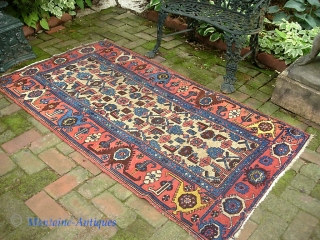 Kurdish-- 3 ft 4 x 6 ft 1 in.  Old well used rug with camel field and beautiful red turtle border.  Low and a little bit tatty around the edges--  ...