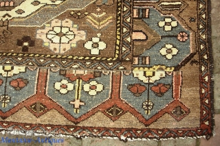 Savah-- 4 ft 3 x 6 ft 4 in. Of course the best Pomegranates are from Savah. Rugs with this design are rare. Rarer still in this larger size. Colors are more  ...