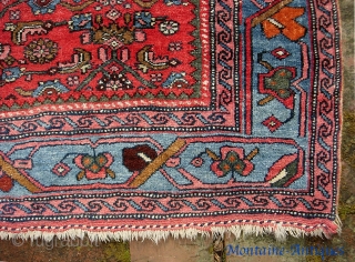 Bidjar-- 4 ft 0 inches x 5 ft 4 inches. Bright and gorgeous piece on wool foundation... very good all original condition. Sold it a while back. Recently bought it back. Wheel  ...