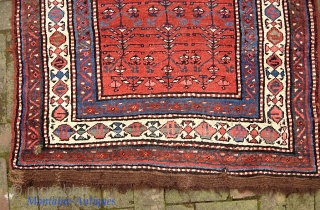 Sauj Bulak-- 3.5 x 14.1. Honest old ethnographic Kurd. Please call for condition Report. Check out abundant fresh posts on our web site: http://www.montaine-antiques.com/oriental-rugs/         