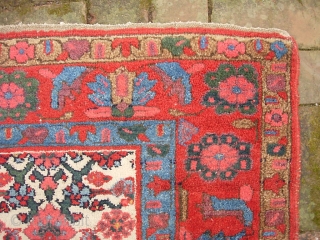 Kurdish 4 ft 4 x 6 ft 10 inches. Wool foundation.  Condition is excellent but not mint-- even pile. There is a nearly identical piece shown in Eagleton's Kurdish Rugs" plate  ...