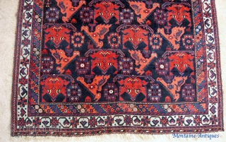 Chicken Afshar 4 ft 10 in x 5 ft 9 inches. 19th century. One of the coolest Afshar designs and I would guess pretty rare as well. One of the things that  ...