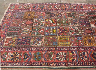 Garden Bahktiari. 5 ft 3 inches x 7 ft 1 inches. Decorative old rug with lots of yellow. Interesting green strip outide the outer boarder. Low but even pile with no foundation  ...