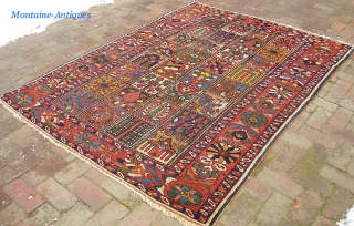 Garden Bahktiari. 5 ft 3 inches x 7 ft 1 inches. Decorative old rug with lots of yellow. Interesting green strip outide the outer boarder. Low but even pile with no foundation  ...