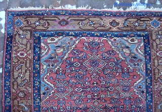 Hamadan. 4 ft 4 inches x 6 ft 5 inches. Good old sturdy west Persian village rug in nice thick condition. Unusual and attractive brown border w/ abrashes. Very decorative. There isn't  ...