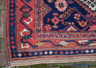 Kurd 4 ft 6 inches x 8 ft 10 inches. Useful size. Very lively and decorative with diapered white field. Somewhat coarsely woven w/ heavy thick pile; charming and vernacular. Excellent condition  ...
