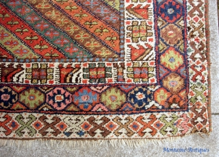 Kurdish 4 ft 1 inches by 8 ft. Bags are common but it is very unusual to find a large rug from this tribal group. Cool design and wonderful natural colors. Great  ...