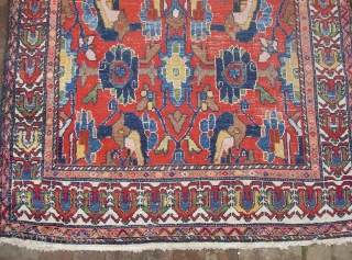 Bahktiari  4 ft 2 inches by 8 ft 11 inches.  Design is a hybrid combination of large scale Herati  and  mina Khani. Has a similar flavor to those  ...