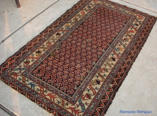 Malayer-- 3 ft 4 by 5 ft 9 inches. Fine weave with totally great colors and Caucasian designs. Note little animal figures. 
Pile is low but even and there is no exposed  ...