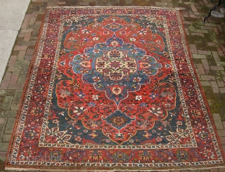 Medallion Bahktiari. 7 ft 4 inches x 9 ft. 9 inches. Decorator piece w/ knockout colors. Real nice weave and the design is very crisp; pile is thick and shimmery.  Prettier  ...