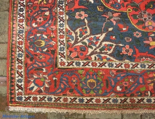 Medallion Bahktiari. 7 ft 4 inches x 9 ft. 9 inches. Decorator piece w/ knockout colors. Real nice weave and the design is very crisp; pile is thick and shimmery.  Prettier  ...