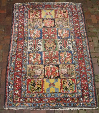 Garden Bahktiari. 4 ft 4 inches x 6 ft 10 inches. Real unique motifs. Terrific decorative colors-- especially the safron yellow. Nicer heavy weave; good condition with pile throughout. $30 us shipping.
 