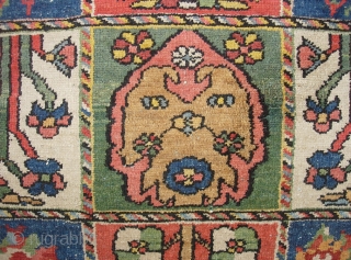 Garden Bahktiari. 4 ft 4 inches x 6 ft 10 inches. Real unique motifs. Terrific decorative colors-- especially the safron yellow. Nicer heavy weave; good condition with pile throughout. $30 us shipping.
 