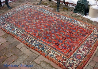 Bidjar-- 4 ft 3 inches x 7 ft  8 inches. Old wool foundation rug with bright, clear colors. Very decorative rug. A bit of attrition at the end weaves but the  ...