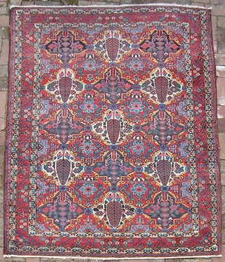 Bahktiari-- 5 ft 0 inches x 6 ft  5 inches. A squarish rug several notches better than your average garden variety garden Bahktiari. Extra pretty colors and no apologies for condition.  ...