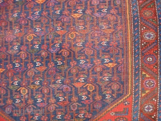 Persian Rug on Wool-- 4 ft 7  inches x 6 ft 5 inches. You might call it Malayer-- but being on wool foundation its probably safer to just call it Kurd.  ...