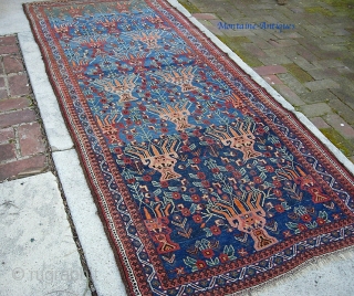 Balouchi 3 ft 6 by 8 ft 9 inches. Have you ever seen such a design on a Balouchi? maybe one of a kind. Also-- I have never seen a prettier thing  ...