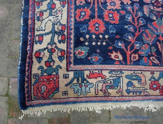 Bahktiari...emulating a Lilihan. 5 ft 8 inches by 9 ft 9 inches. Handsome deco rug and a great size. Some very pretty colors in this. Condition is excellent with thick pile all  ...