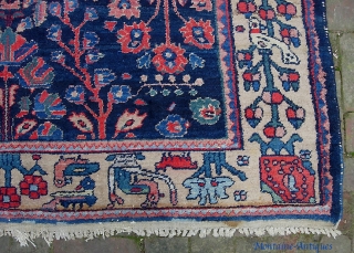 Bahktiari...emulating a Lilihan. 5 ft 8 inches by 9 ft 9 inches. Handsome deco rug and a great size. Some very pretty colors in this. Condition is excellent with thick pile all  ...