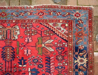 Hamadan-- 4 ft 10 inches x 6 ft  6 inches. Really good one. Maybe an older Zagheh(?). Its like Cherry Vess (remember that stuff?). Intense as this red is I think  ...