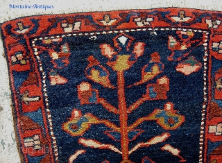  Rare Bahktiari Pushti, 2.3 ft x 2.4. Circa 1880. Foundation is  wool;  spots of white pile is cotton.  This is the most luscous, thick old meat-pile thing. 
 