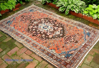 Bahktiari. 4 ft 4 x 6 ft 7 inches. Medallion rug with earth tones and a lot of chocolate brown. Rug is a bit out of square. (Not horrible) Missing a row  ...