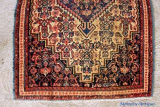 Senneh Pushti-- 2 ft 1 inches by 3 ft. 2 inches. Real rare to fine Senneh in this small size. Real pretty piece with light earth tone colors. Even wear with just  ...