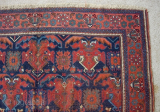 Antique Afshar-- 4 ft 6 inches by 6 ft. 4 inches. Pretty fine early type weave on wool ground. Side cords frayed a bit. Even wear with some foundation showing mostly in  ...