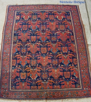 Antique Afshar-- 4 ft 6 inches by 6 ft. 4 inches. Pretty fine early type weave on wool ground. Side cords frayed a bit. Even wear with some foundation showing mostly in  ...