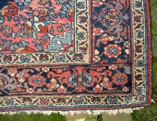 Bijar. 4 ft 5 in. x 6 ft 10 in. As usual-- tightly packed; thick; very heavy. Some attrition at the ends just commencing. Aside from that, good condition.
$30 for UPS shipping. 