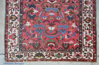 Bahktiari. 3 ft 7 inches by 5 ft 2 inches. Very fine and clear knotting. Crisp vibrant design. A bit of sculpting in the design with some brown oxidation. Some assorted birds  ...