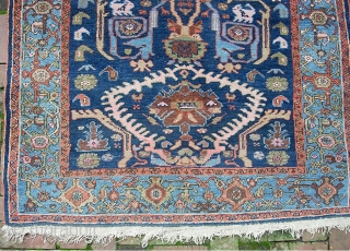 West Persian Tribal rug 4 ft 2 inches x 6 ft 0 inches. Can anyone identify this strange smiling animal? Looks like maybe a cat with a bird sitting on his shoulder??  ...