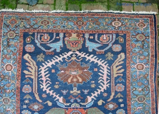 West Persian Tribal rug 4 ft 2 inches x 6 ft 0 inches. Can anyone identify this strange smiling animal? Looks like maybe a cat with a bird sitting on his shoulder??  ...