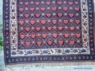 Malayer Runner 3 ft 4 x 12 ft 1 inches. Beautiful and lively. Very crisp old rug with fine weave. Fantastic shimmery colors. Even pile w/no exposed foundation except for the crease  ...