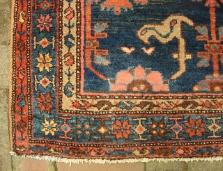 Hamadan-- 3 ft 3 in x 6 ft 3 in. Indigo field with all good colors. Interesting salmon design. Possibly Mehriban. Condition is good, original,  no repairs. $20 for UPS shipping  ...