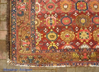 Bahktiari-- 5 ft 4 in x 10 ft 1 in. Some of the warps are cotton and some are wool. Hard to find foyer size. You don't often see a Bahktiari with  ...