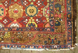 Bahktiari-- 5 ft 4 in x 10 ft 1 in. Some of the warps are cotton and some are wool. Hard to find foyer size. You don't often see a Bahktiari with  ...