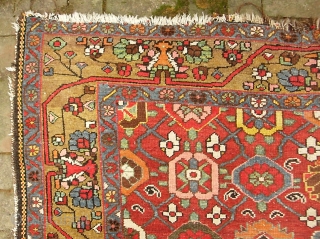 Bahktiari-- 5 ft 4 in x 10 ft 1 in. Some of the warps are cotton and some are wool. Hard to find foyer size. You don't often see a Bahktiari with  ...