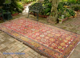 Bahktiari-- 5 ft 4 in x 10 ft 1 in. Some of the warps are cotton and some are wool. Hard to find foyer size. You don't often see a Bahktiari with  ...