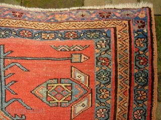 Northwest-- 3 ft 7 in x 6 ft. 7 in. Great rug. Pretty good condition for its age. Note that it is 3 inches wider at the far end. The $20 for  ...