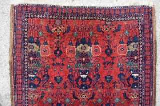 Senneh pushti. 1 ft 11 inches by 3 ft 1 inches. Pretty fine weave around 200 knots per inch.  As Edwards said, most Sennehs from this period are same-old,  same-old  ...