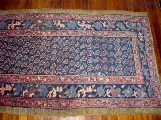 Kurdish Runner on wool foundation, c. 1900;  3 ft 1 inches by 13 ft. 3inches. Botehs and Earthtones. All vegetal dyes. Note the cute little tribal figures in the border on  ...