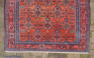 Malayer. 4 ft 8 inches by 6 ft 6 inches.  Good weave; Frosty nap wool. Original overcast and braided end weave still in good condition. Soft red field has a wonderful  ...