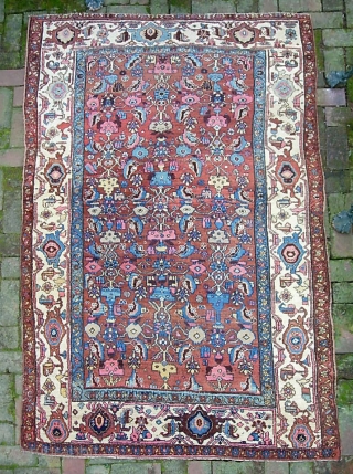Bidjar. 4 ft 6 x 7 ft 0. Legit early piece on wool foundation. Superdecorative with rare ivory border. A couple wear spots but overall thick-- heavy-- meaty. $30 for UPS shipping  ...