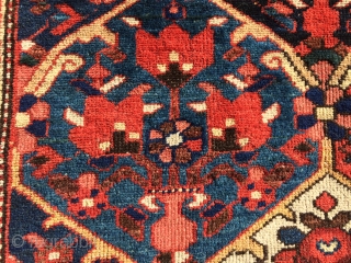 Local Find: A 1920's super fine Bakhtiari rug measuring 6'6"x 5'2" with over 400 knots per square inch.  Has one small area showing foundation (see picture), but other than that, rug  ...