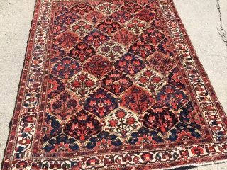 Local Find: A 1920's super fine Bakhtiari rug measuring 6'6"x 5'2" with over 400 knots per square inch.  Has one small area showing foundation (see picture), but other than that, rug  ...