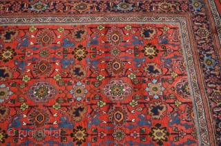 Fresh from an estate: Antique bijar in perfect condition, size is 7'8"x12'1".  Thanks for looking.                 