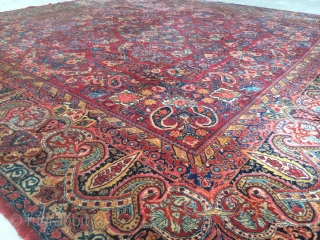 Found this Yesterday out in the country: A 1940's Persian Saruk measuring 12'6"x 13'1", beautiful accent colors, hard to find size, I just cleaned it, has low pile in a few area's,  ...